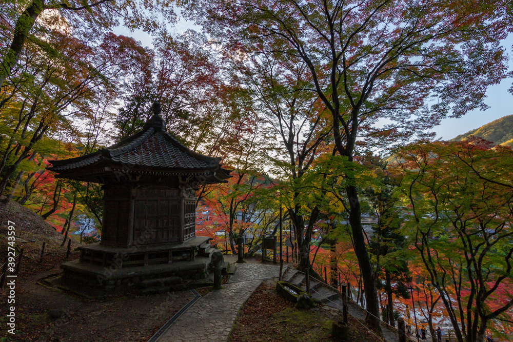 Colourful forest of Korankei in Japan Colourful forest of Korankei in Japan