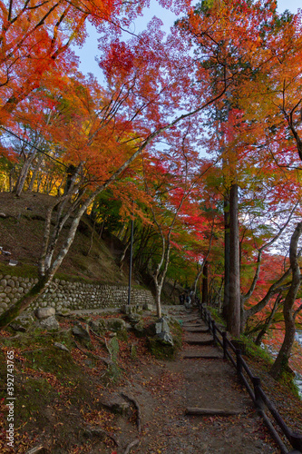 Colourful forest of Korankei in Japan