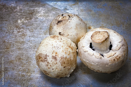 white mushroom on rustic metal in kitchen
