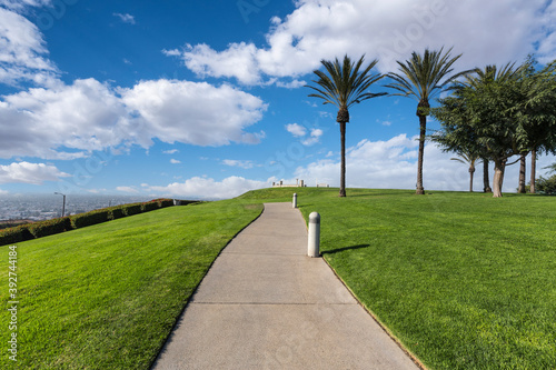 Palm trees and city views w...