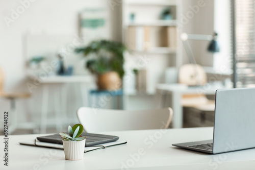 Minimal background image of inviting empty workplace with white desk and succulent plant in foreground, copy space photo