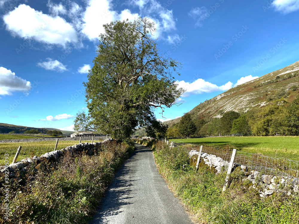 Yorkshire dales country lane, with dry stone walls, wild plants, and hills in the distance near, Halton Gill, Skipton, UK