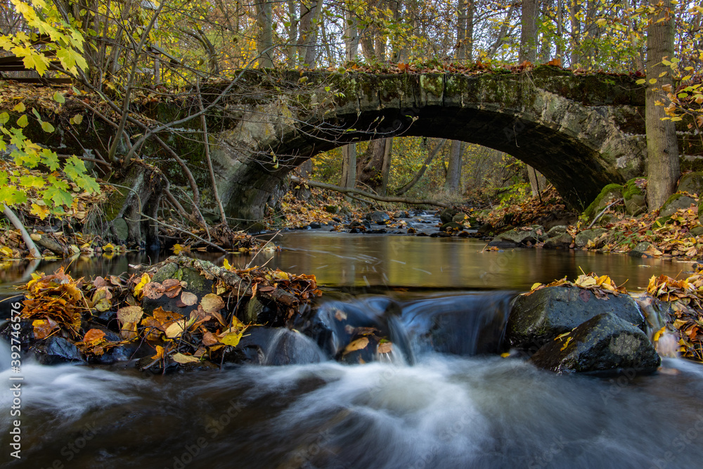 A Water cascade in the creek flowing under an ancient stone bridge in the autumn forest. A Water cascade in the creek flowing under an ancient stone bridge in the autumn forest.