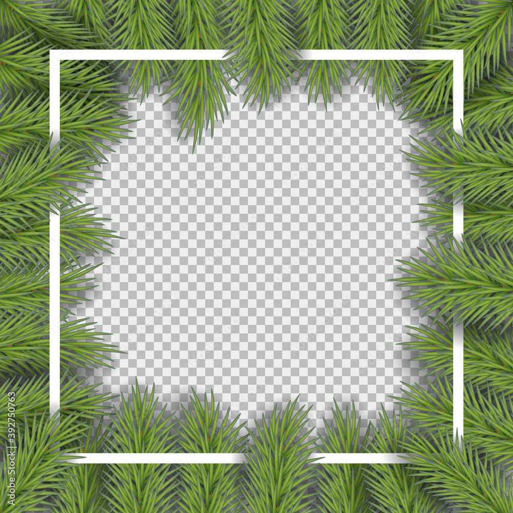 Vector christmas frame with pine branches with space for design.