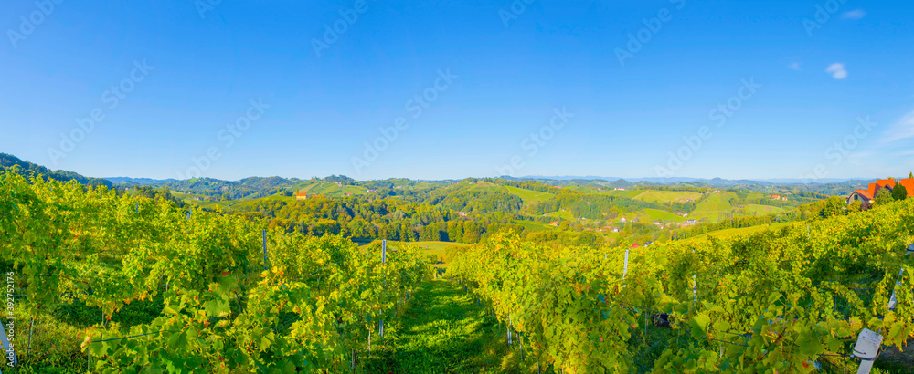 Vineyards along South Styrian Wine Road, a charming region on the border between Austria and Slovenia with green rolling hills, vineyards, picturesque villages and wine taverns. Selective focus