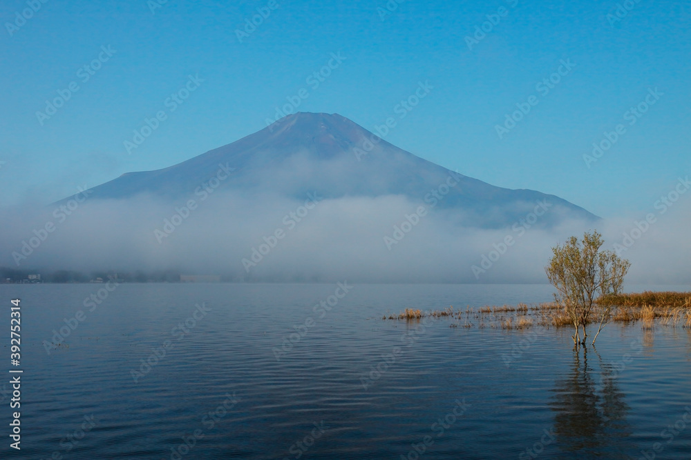 朝霧と富士山　山中湖
