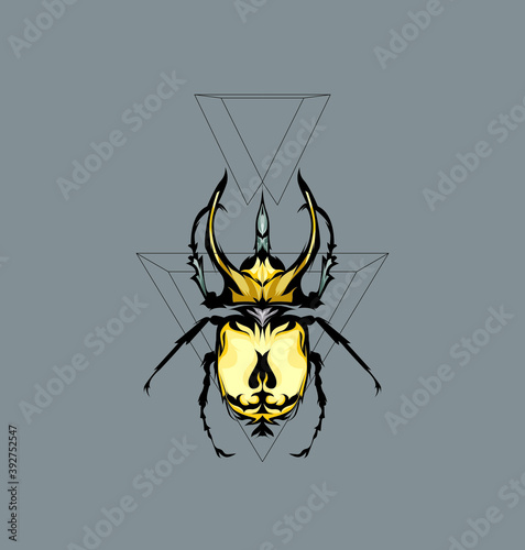 spider and web