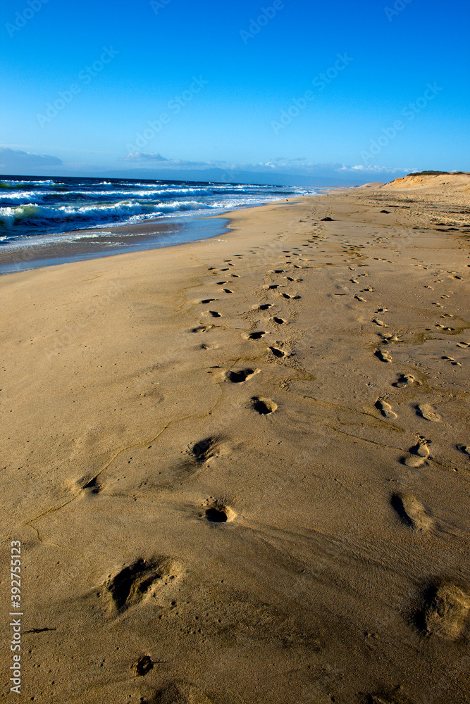 Footsteps in the sand on a California beach with waves crashing in the background. Footsteps in the sand on a California beach with waves crashing in the background.