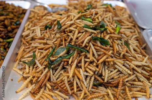 Thai street food snack, fried larvae