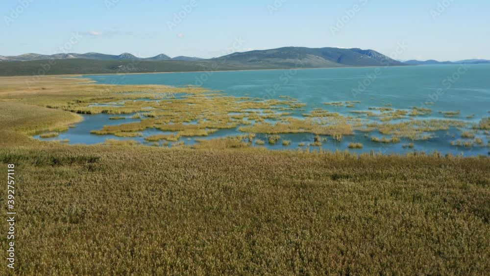 Aerial view of the reeds on Vransko Lake Nature Park in Croatia Aerial view of the reeds on Vransko Lake Nature Park in Croatia
