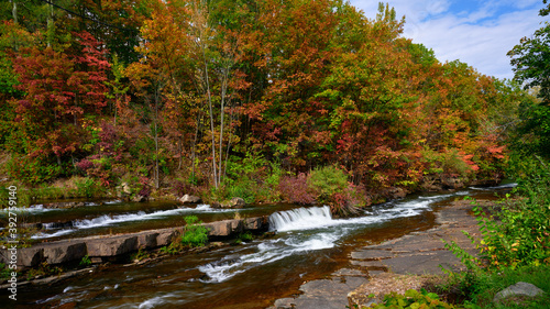 Along the LaChute River Walk Trail in Upstate New York