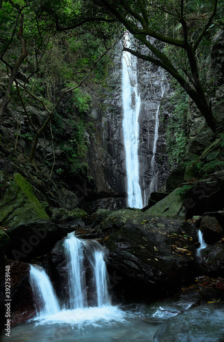 fresh water waterfall in a dark forest