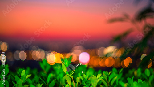 Background view of green leaves Close-up, with bokeh blur, colorful lights falling onto, one of nature's artistic beauty © bangprik