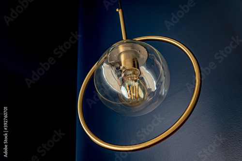 Wallpaper Mural Pendant lamps for interiors decorated with a golden ring. Torontodigital.ca