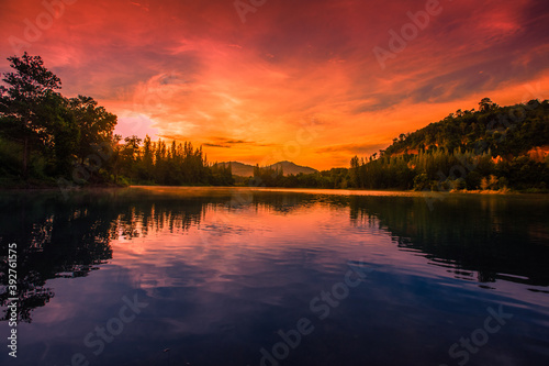 Fototapeta Naklejka Na Ścianę i Meble -  Blurred nature background view of naturally occurring trees and reflection on the water surface, the beauty of ecosystems at various vantage points.