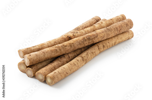 Burdock on a white background photo