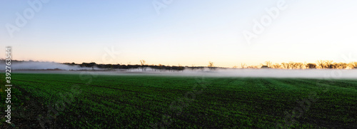 Panoramic photo of a field with mist rolling through the trees