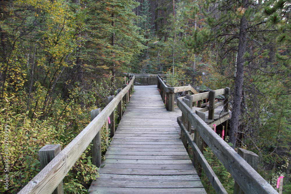 Walking The Boardwalk, Banff National Park, Alberta Walking The Boardwalk, Banff National Park, Alberta