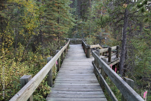 Walking The Boardwalk, Banff National Park, Alberta