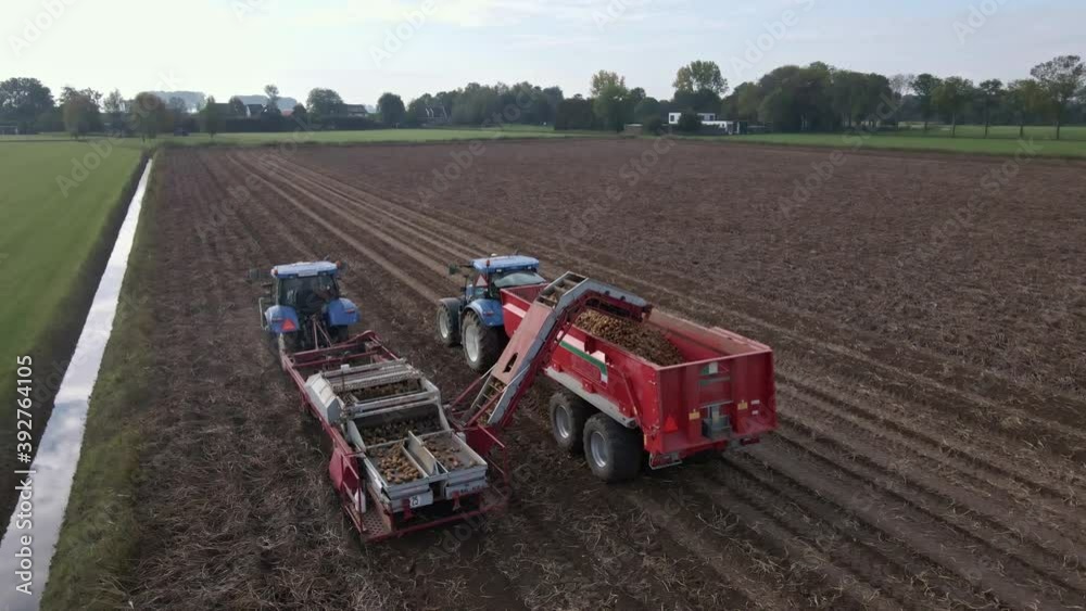 Farmers harvesting potato crop with tractors on rural land drone high angle Farmers harvesting potato crop with tractors on rural land drone high angle