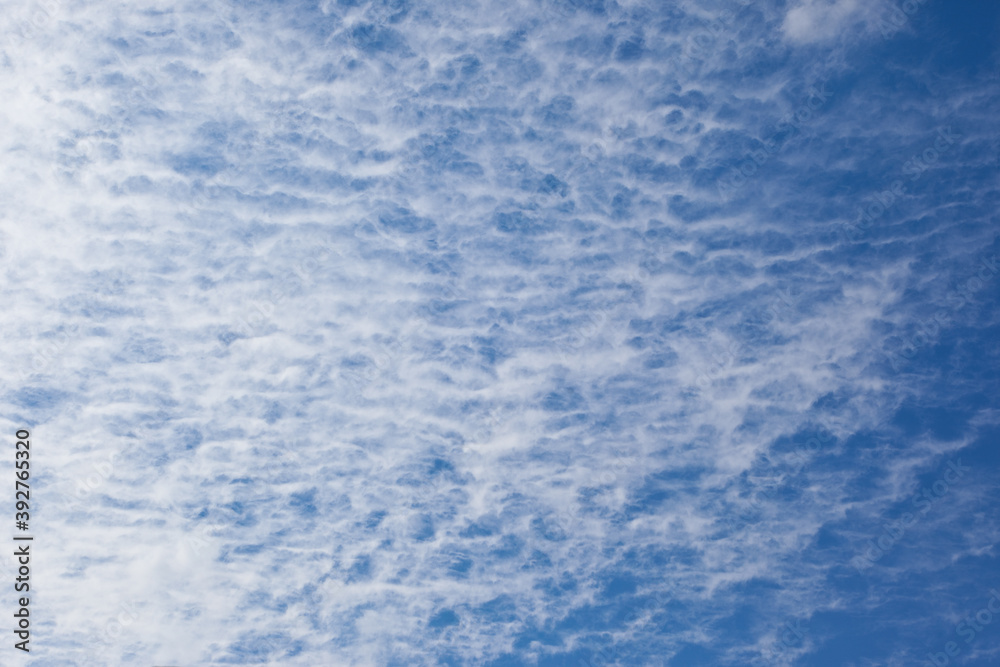 秋の空に白い雲	