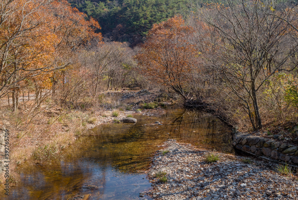 Fall landscape of shallow river