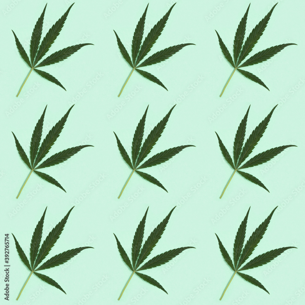 Seamless pattern Cannabis Leaves. Printing on fabric, wrapping paper.