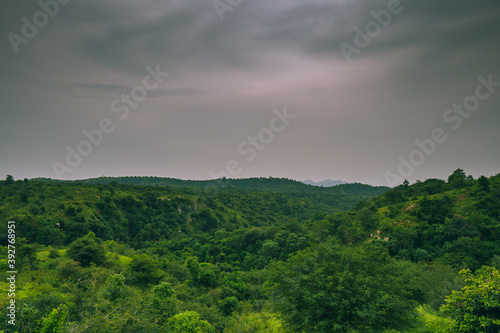 beautiful landscape view of forest from top view