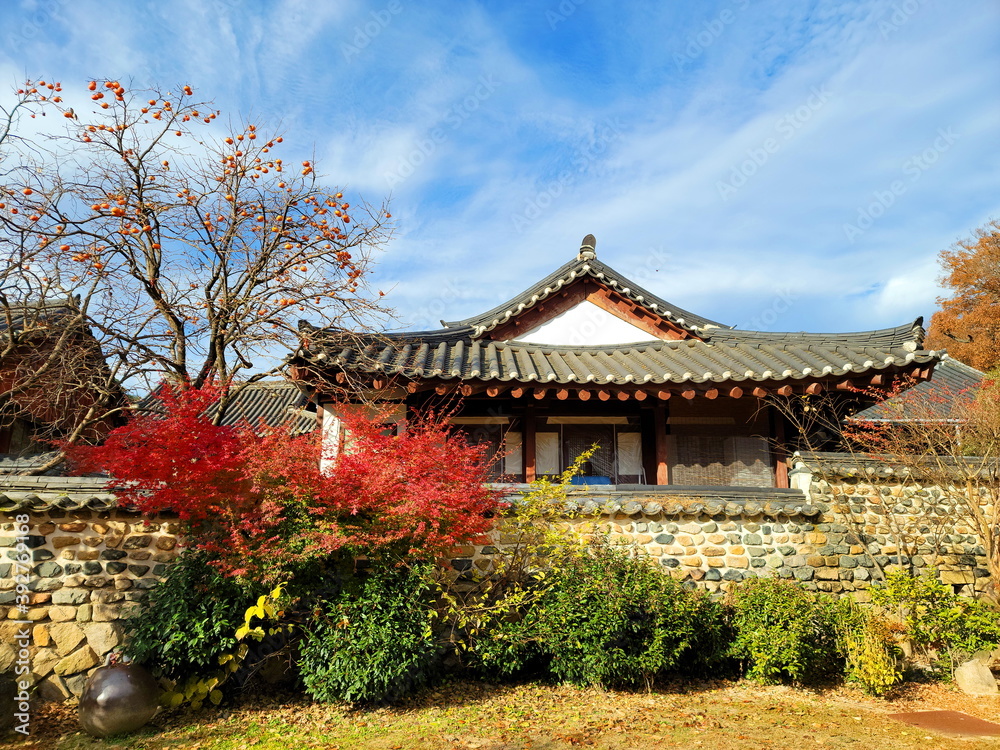 Autumn of the Korean Garden