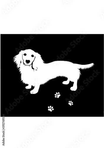 ダックスフント,ダックスフンド,Dachshund,
犬,ペットショップ,dog,犬シルエット
