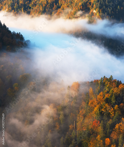 Fog in the mountain forest with yellow and red leaves, top view 