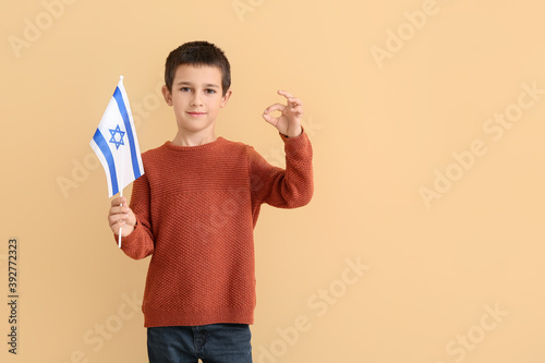 Little boy with the flag of...