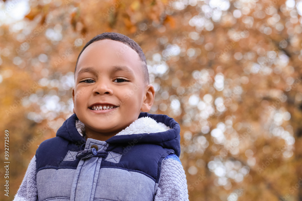 Cute African-American boy in autumn park Cute African-American boy in autumn park