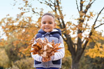 Cute African-American boy playing with leaves in autumn park
