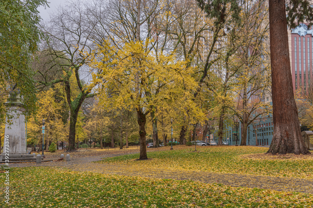 Naklejka premium Downtown Portland Oregon public park Oregon state.