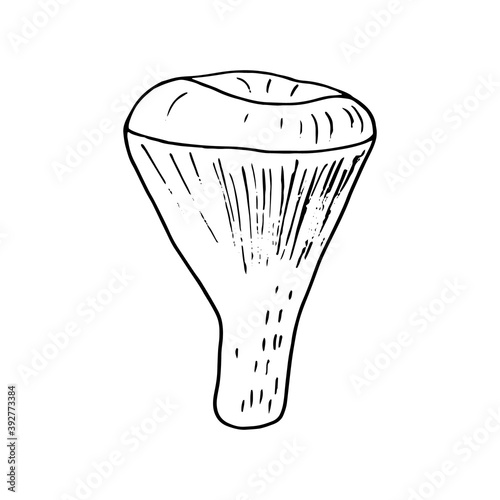 chanterelle mushroom sketch hand drawn doodle. icon, card, poster, vector, monochrome. nature, food, ingredient.