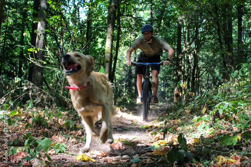 Canvas Print Man biking with two dogs