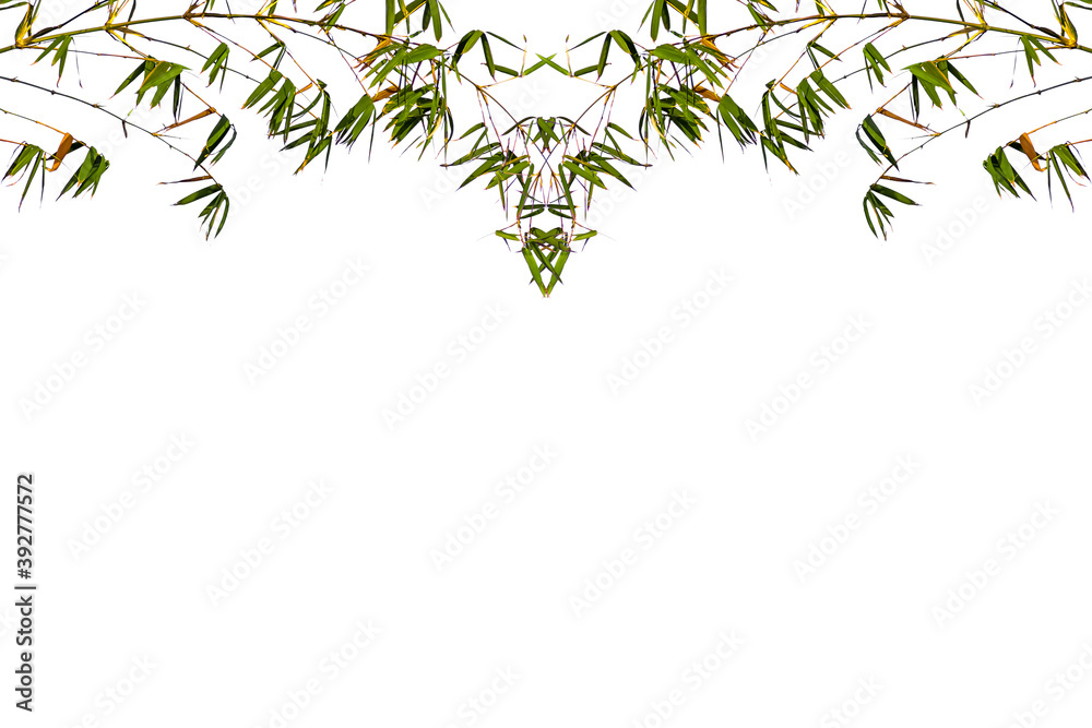 leaves border, bamboo on white background leaves border, bamboo on white background