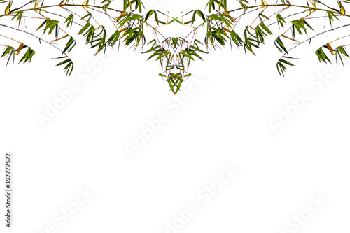 leaves border, bamboo on white background 