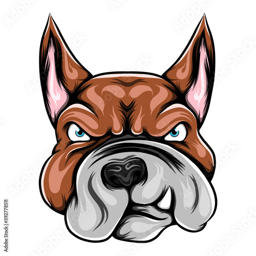 The head of pitbull with the fierce face for the drawing inspiration