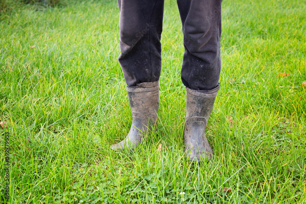 Dirty rubber boots on bright green grass. Legs of a man in rubber boots after work. Farming concept Dirty rubber boots on bright green grass. Legs of a man in rubber boots after work. Farming concept