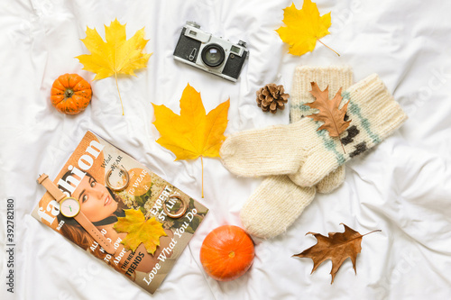 Beautiful autumn compositio...