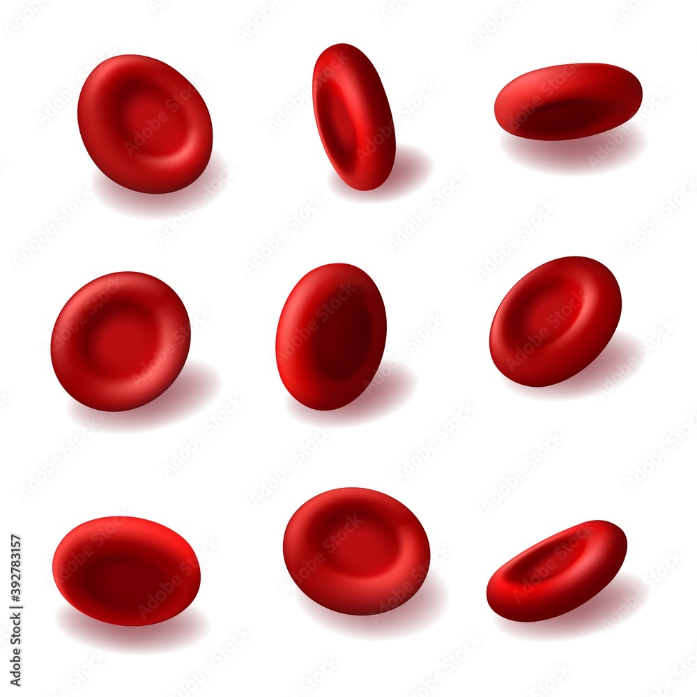 Red blood cells 3d vector hemoglobin, hematology medicine, human body anatomy. Realistic microscopic blood cells of cardiac system isolated on white background. Medical healthcare design elements set Red blood cells 3d vector hemoglobin, hematology medicine, human body anatomy. Realistic microscopic blood cells of cardiac system isolated on white background. Medical healthcare design elements set