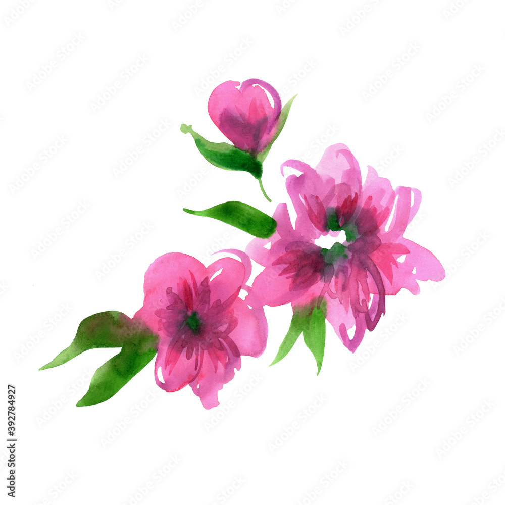 Cute pink watercolor flowers on a white background