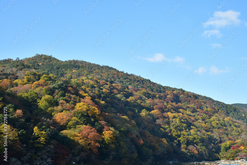 京都嵐山の紅葉風景