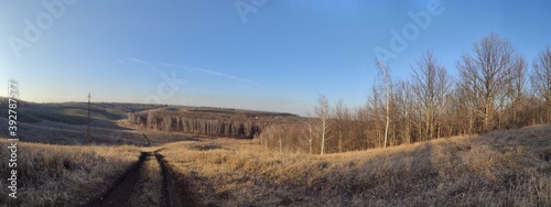 panorama of Ukrainian forests and mountains