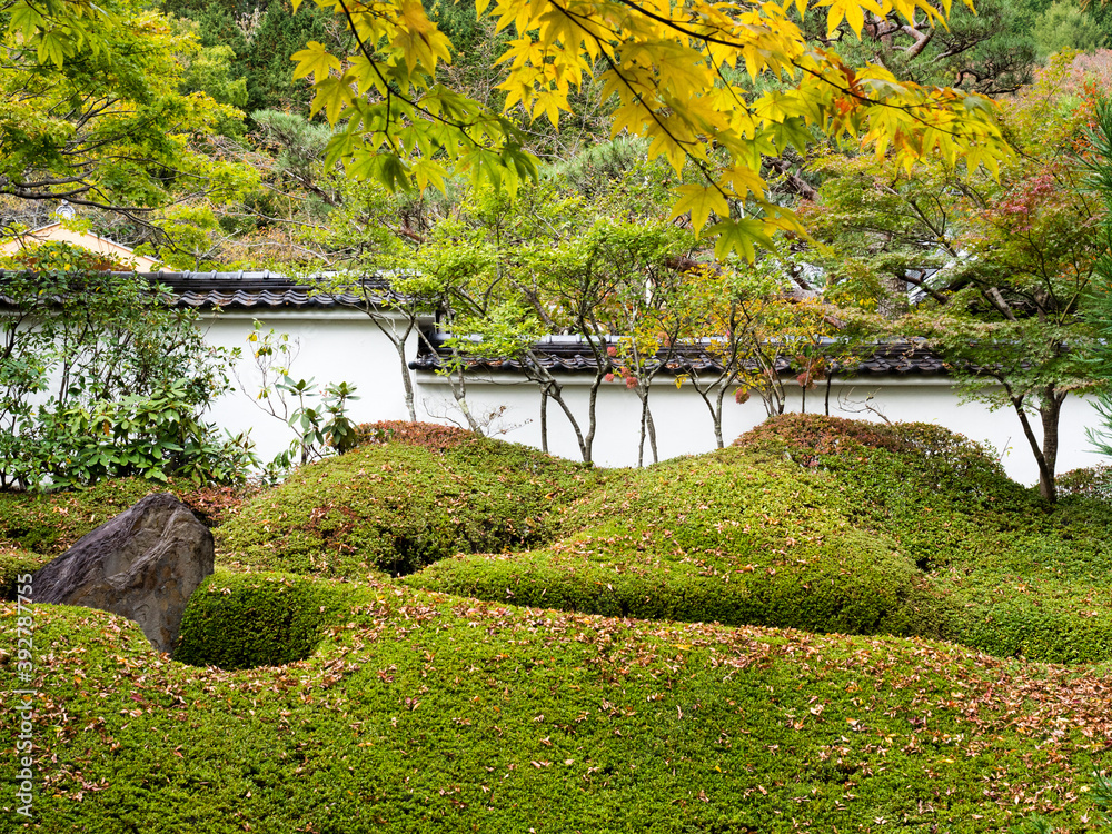 Traditional Japanese garden in early fall with leaves starting to change color
