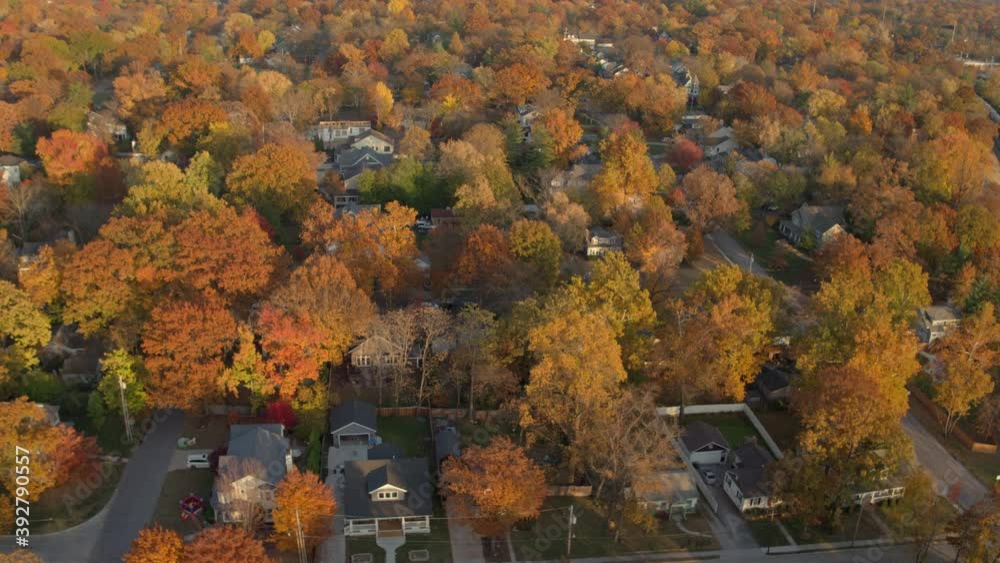 Aerial of beautiful neighborhood in Kirkwood in St. Louis, Missouri in Autumn at peak color in November with a pull back. Aerial of beautiful neighborhood in Kirkwood in St. Louis, Missouri in Autumn at peak color in November with a pull back.