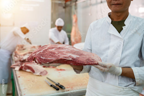 Premium wagyu beef in the process by butcher in the slaughterhouse