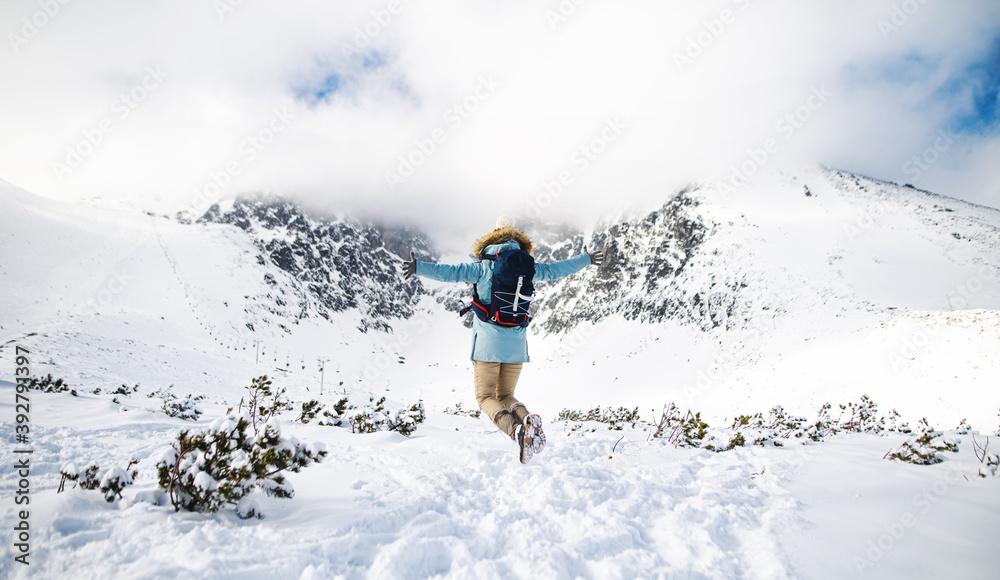 Rear view of young woman jumping in snowy winter nature, arms stretched. Rear view of young woman jumping in snowy winter nature, arms stretched.